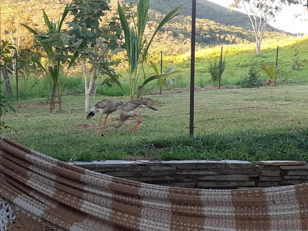 Fazenda Taruma Pirenópolis Buitenkant foto