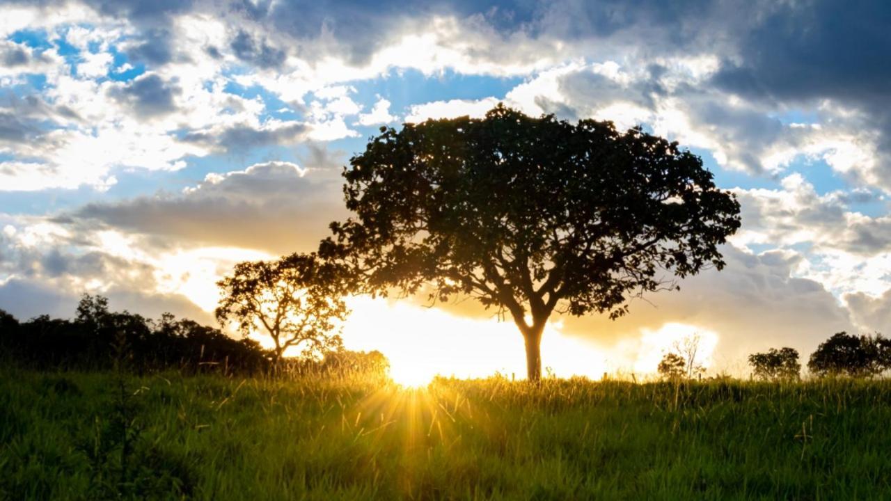 Fazenda Taruma Pirenópolis Buitenkant foto